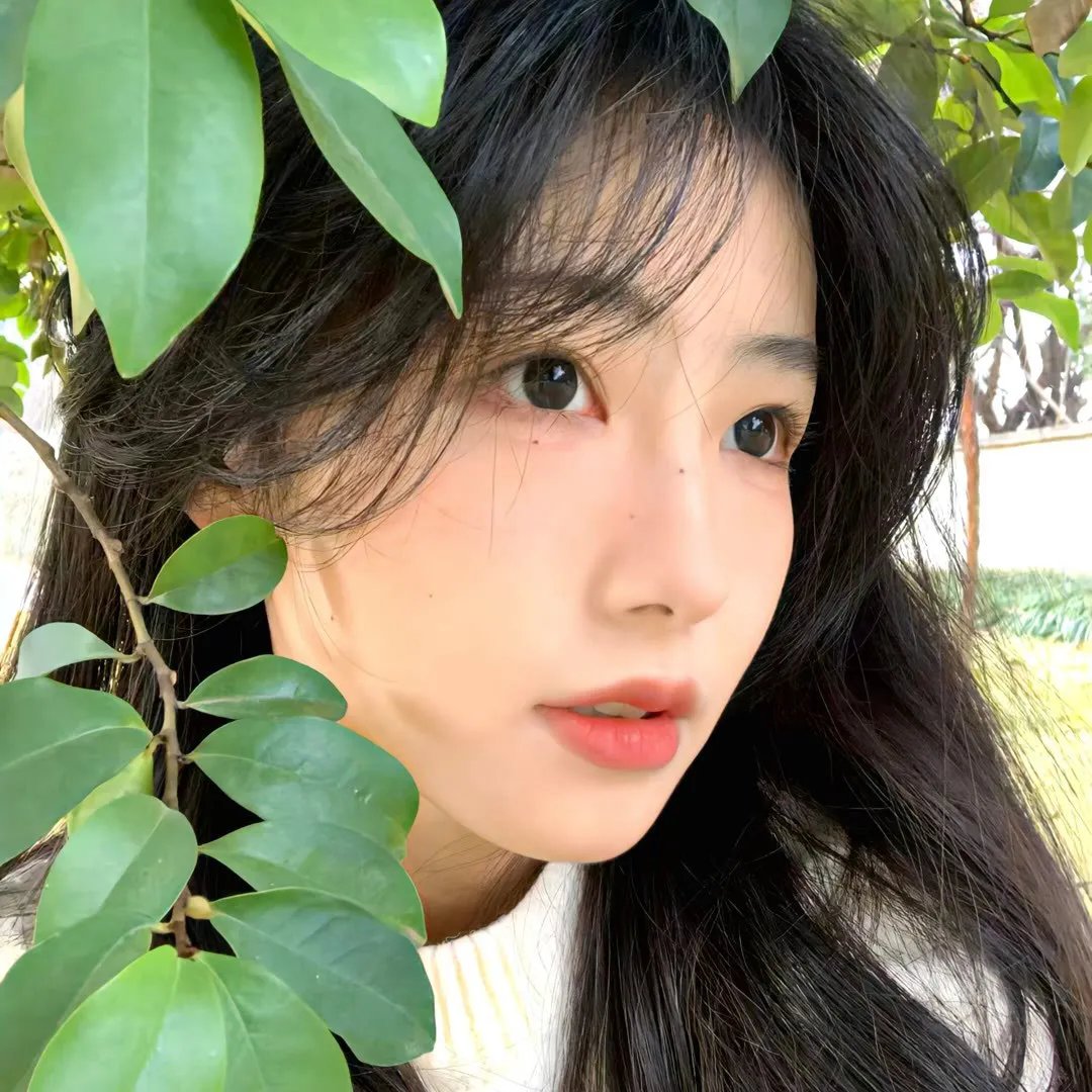 侠盗正传